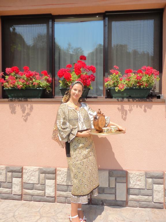 Pensiune Maria Rucăr Dış mekan fotoğraf