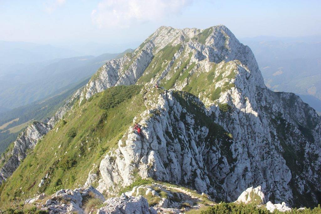 Pensiune Maria Rucăr Dış mekan fotoğraf
